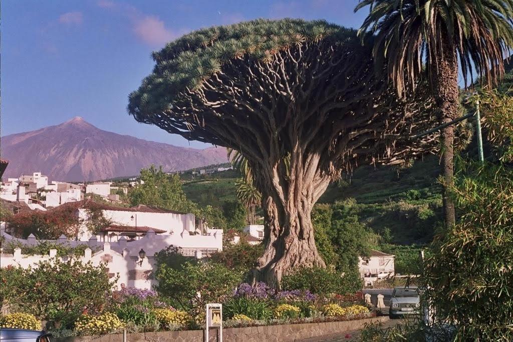 Villa Violeta La Laguna  Kültér fotó
